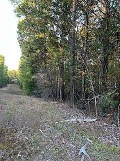 15.4 Acres of Land for Sale in Oxford, Mississippi