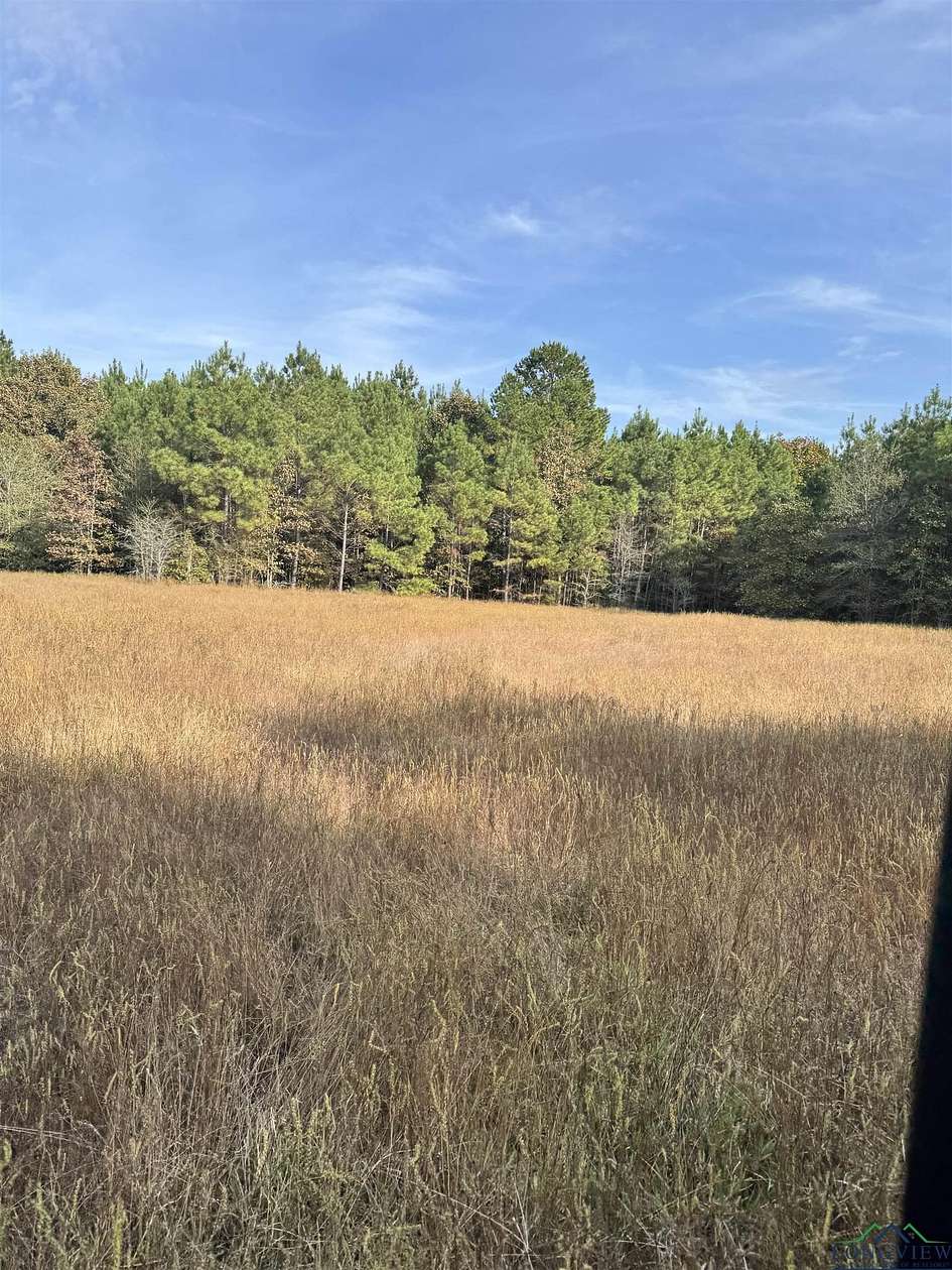 44 Acres of Recreational Land & Farm for Sale in Henderson, Texas