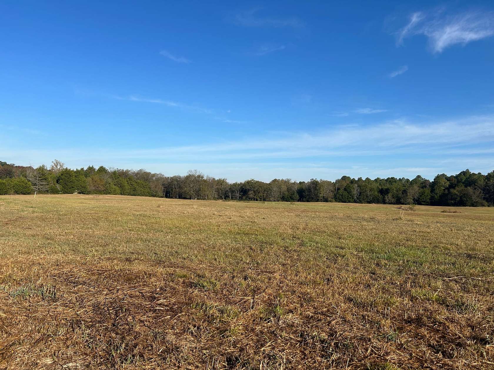 21 Acres of Land for Sale in Macon, Mississippi