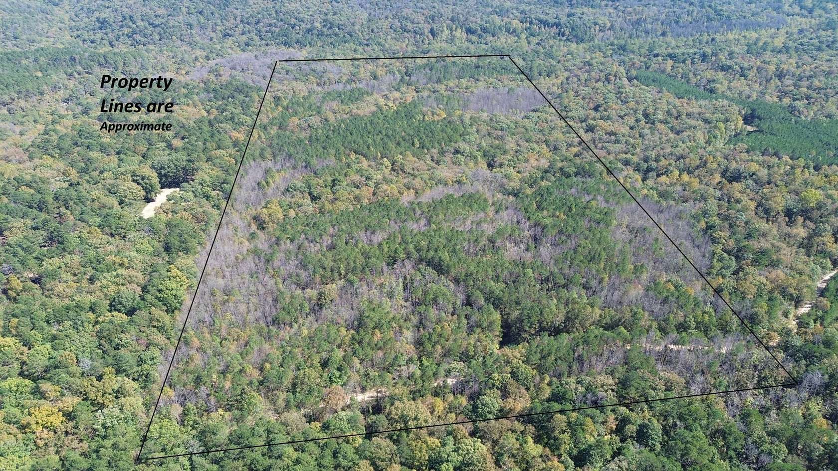 78 Acres of Recreational Land & Farm for Sale in Moulton, Alabama