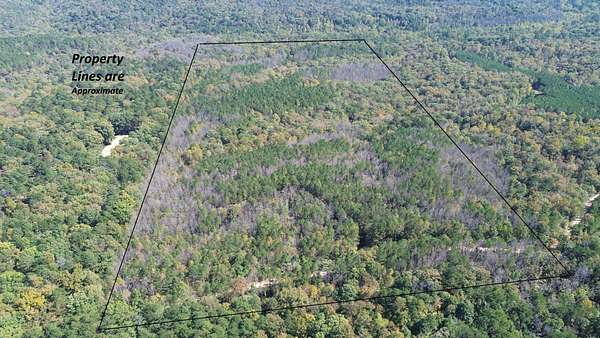 78 Acres of Recreational Land & Farm for Sale in Moulton, Alabama