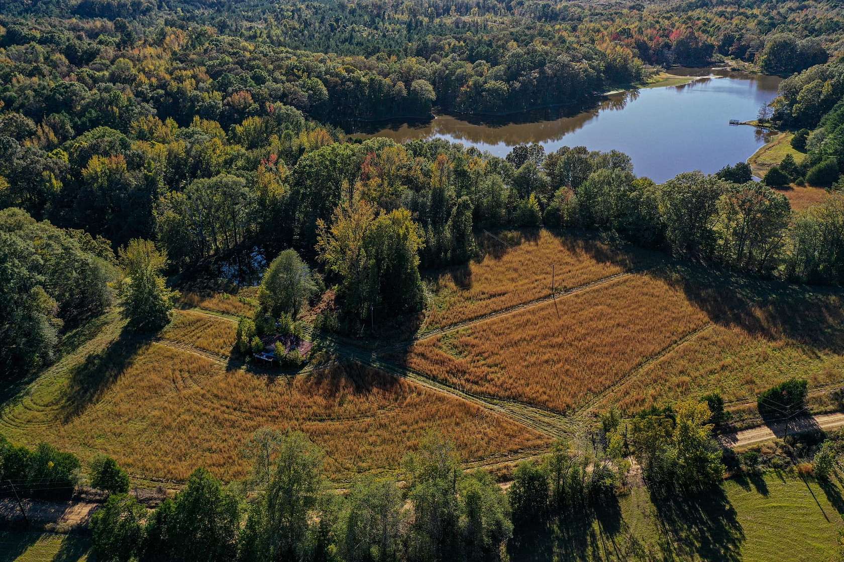 80 Acres of Recreational Land & Farm for Sale in Coila, Mississippi