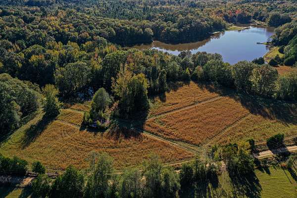 80 Acres of Recreational Land & Farm for Sale in Coila, Mississippi