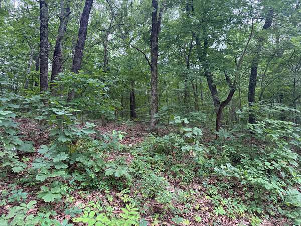 3.5 Acres of Agricultural Land for Sale in Locust Grove, Oklahoma