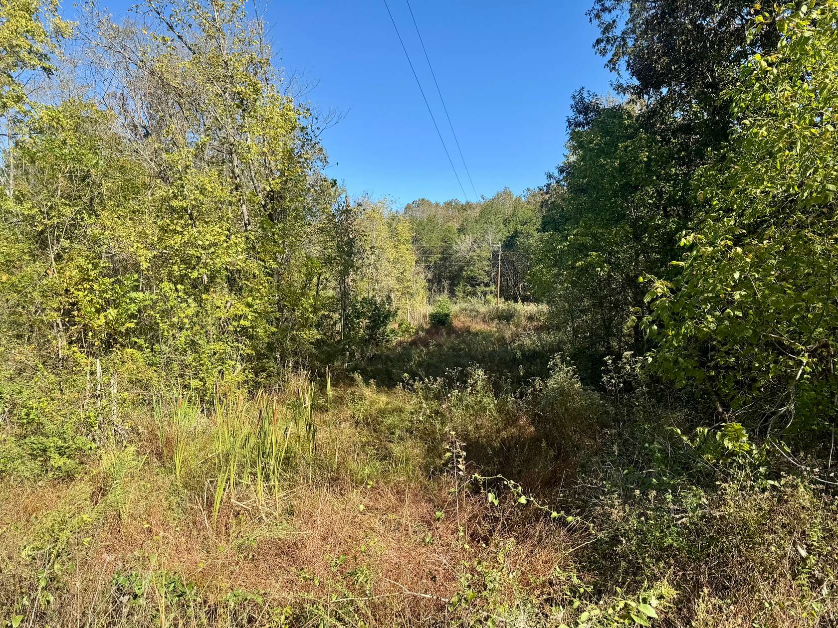 4.5 Acres of Agricultural Land for Sale in Franklin, Arkansas
