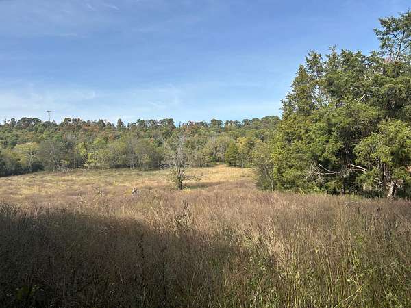 40 Acres of Recreational Land for Sale in Smiths Grove, Kentucky