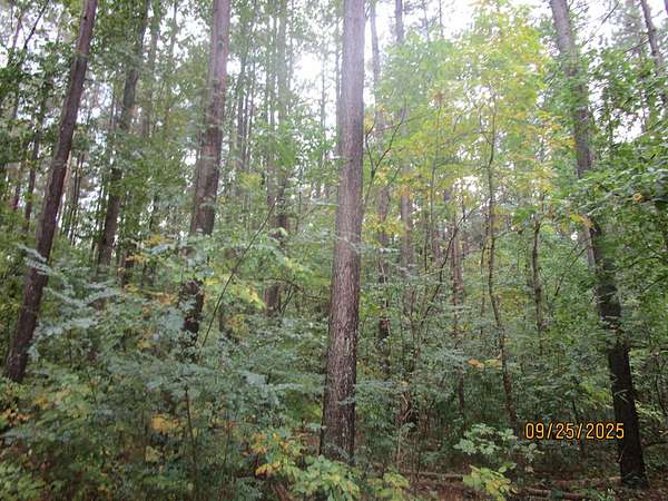 64 Acres of Land for Sale in Meherrin, Virginia