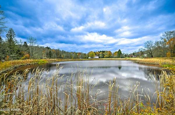 46.3 Acres of Land for Sale in Honesdale, Pennsylvania