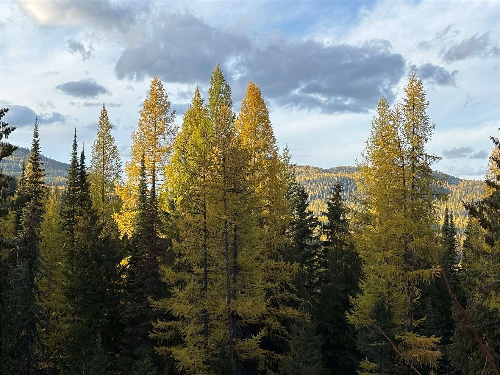 40 Acres of Land with Home for Sale in Trego, Montana