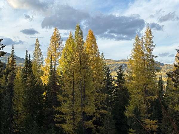 40 Acres of Land with Home for Sale in Trego, Montana