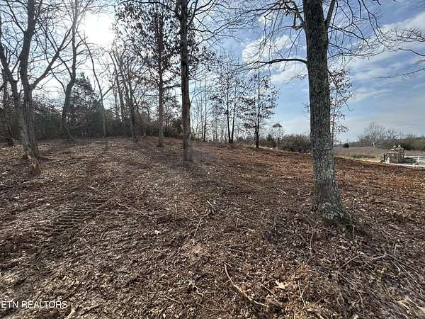 0.78 Acres of Land for Sale in Rockwood, Tennessee