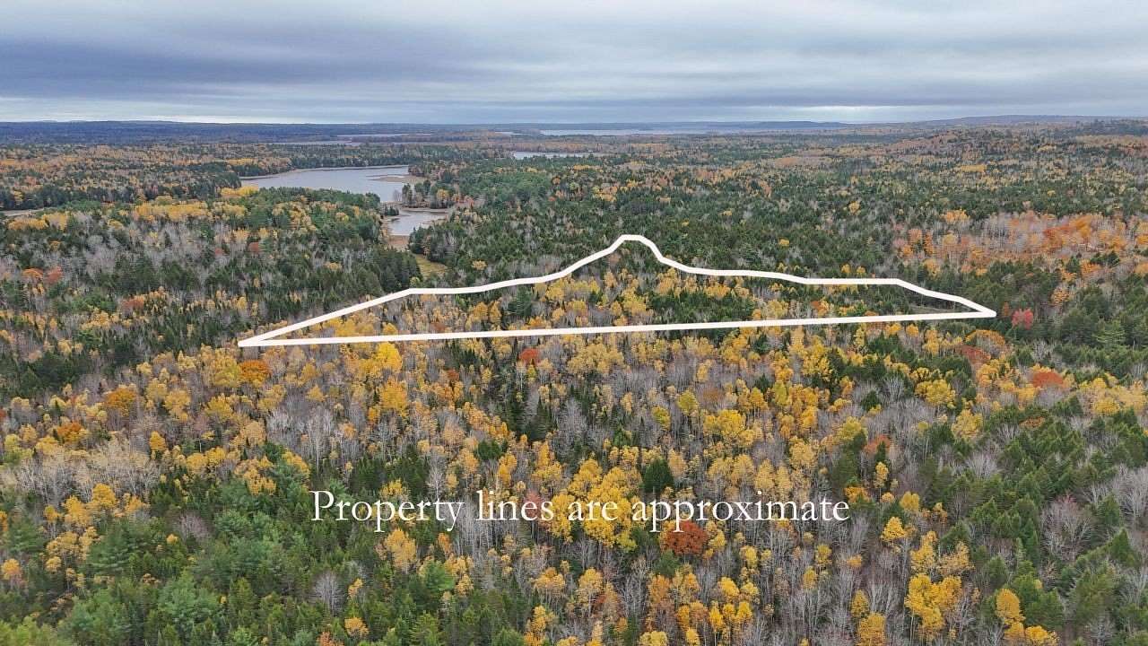 2.5 Acres of Residential Land for Sale in Mariaville, Maine