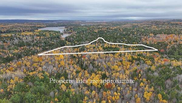 2.5 Acres of Residential Land for Sale in Mariaville, Maine