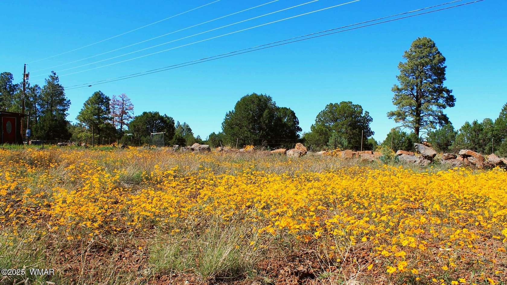 0.25 Acres of Residential Land for Sale in Lakeside, Arizona