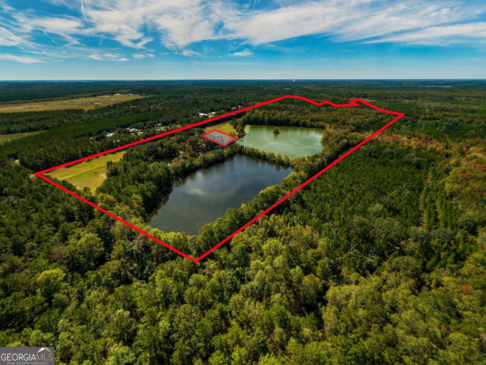 85.5 Acres of Land for Sale in Townsend, Georgia