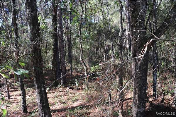 0.92 Acres of Residential Land for Sale in Dunnellon, Florida