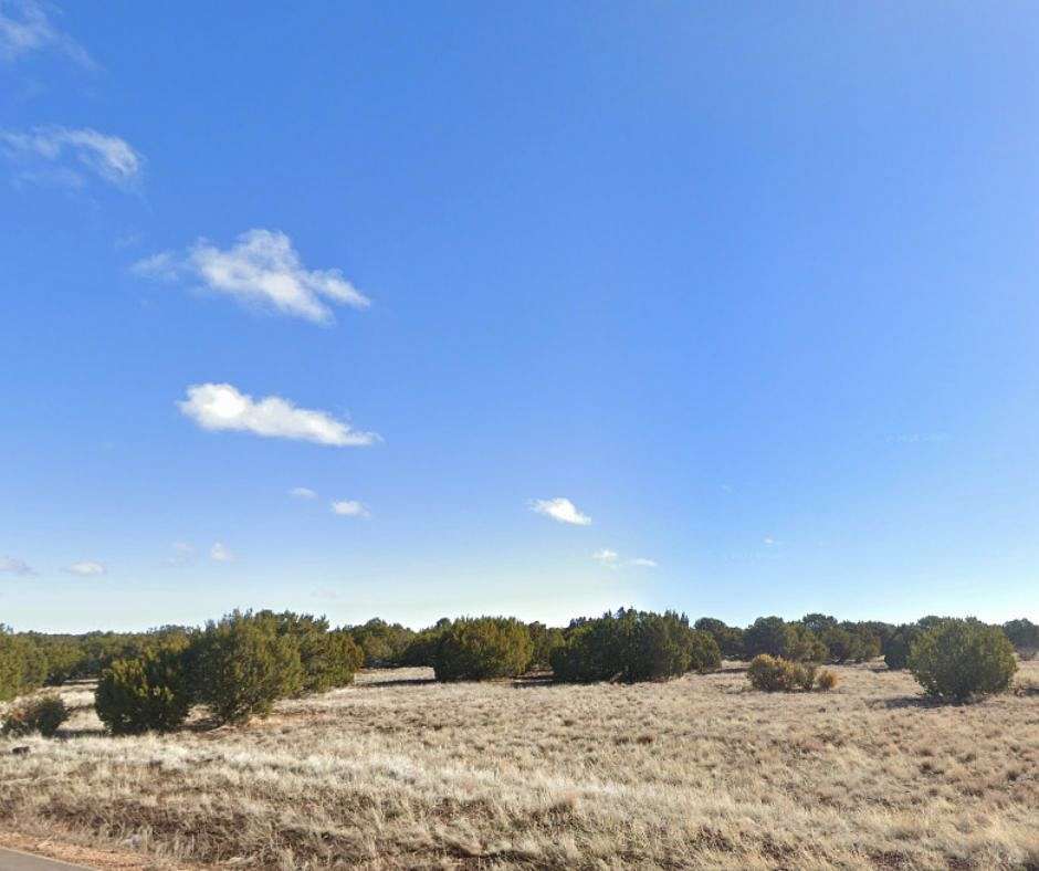1.2 Acres of Residential Land for Sale in Concho, Arizona