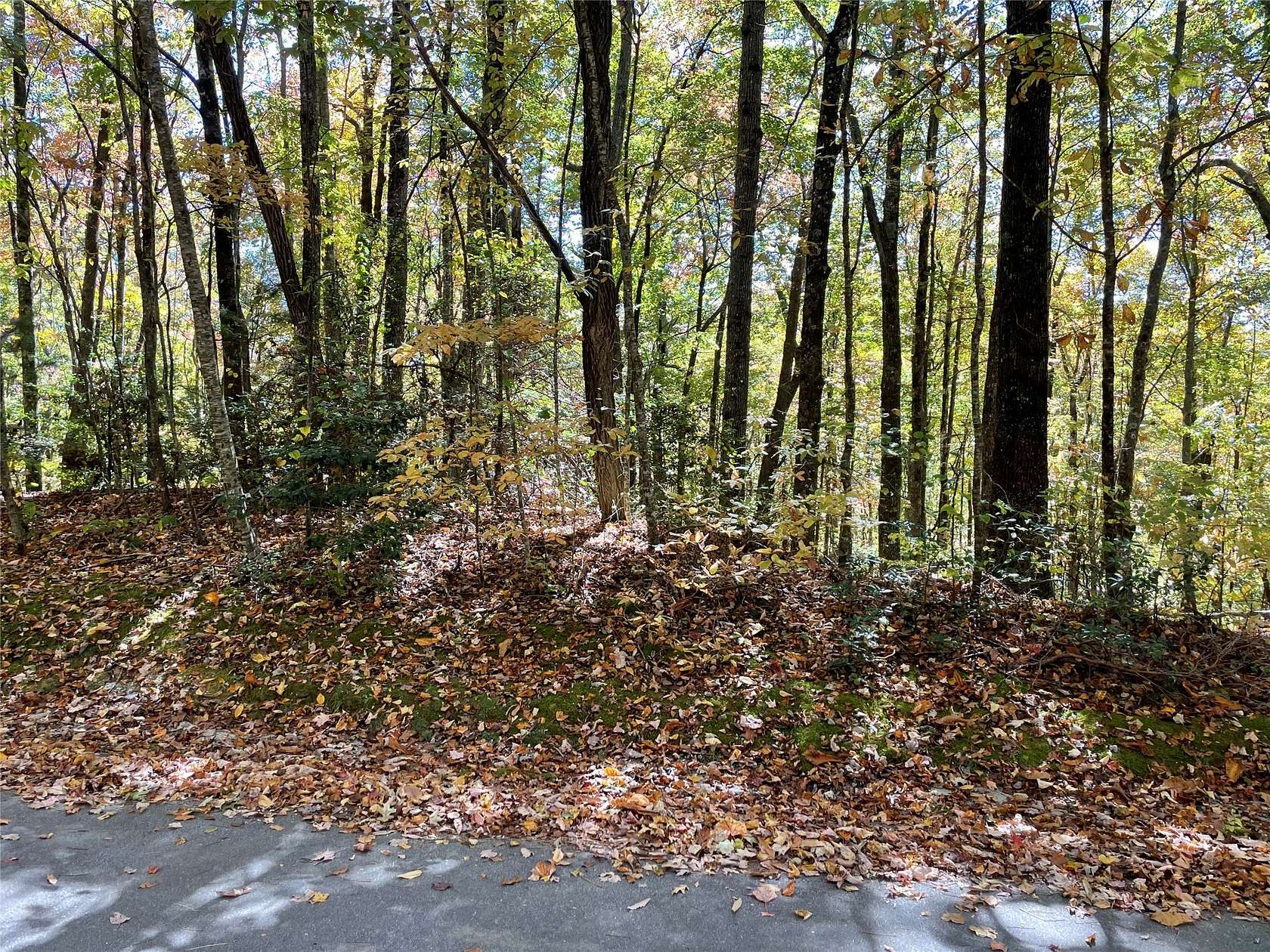 0.44 Acres of Residential Land for Sale in Sapphire, North Carolina