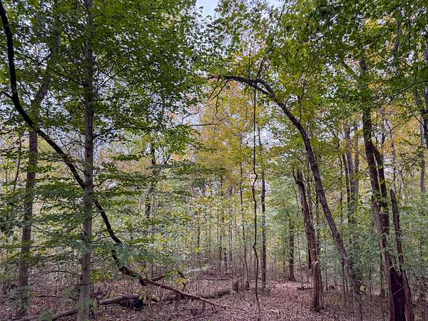 6.76 Acres of Residential Land for Sale in Cumberland City, Tennessee