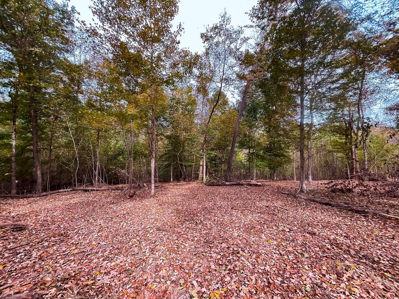 6 Acres of Residential Land for Sale in Cumberland City, Tennessee