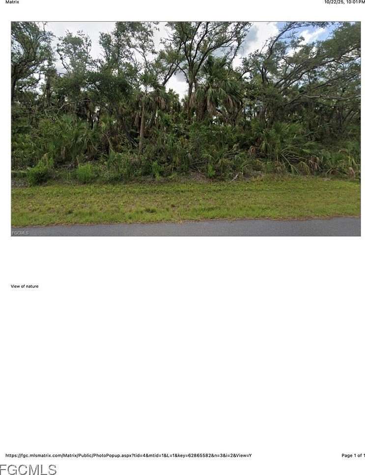 0.5 Acres of Residential Land for Sale in Lehigh Acres, Florida