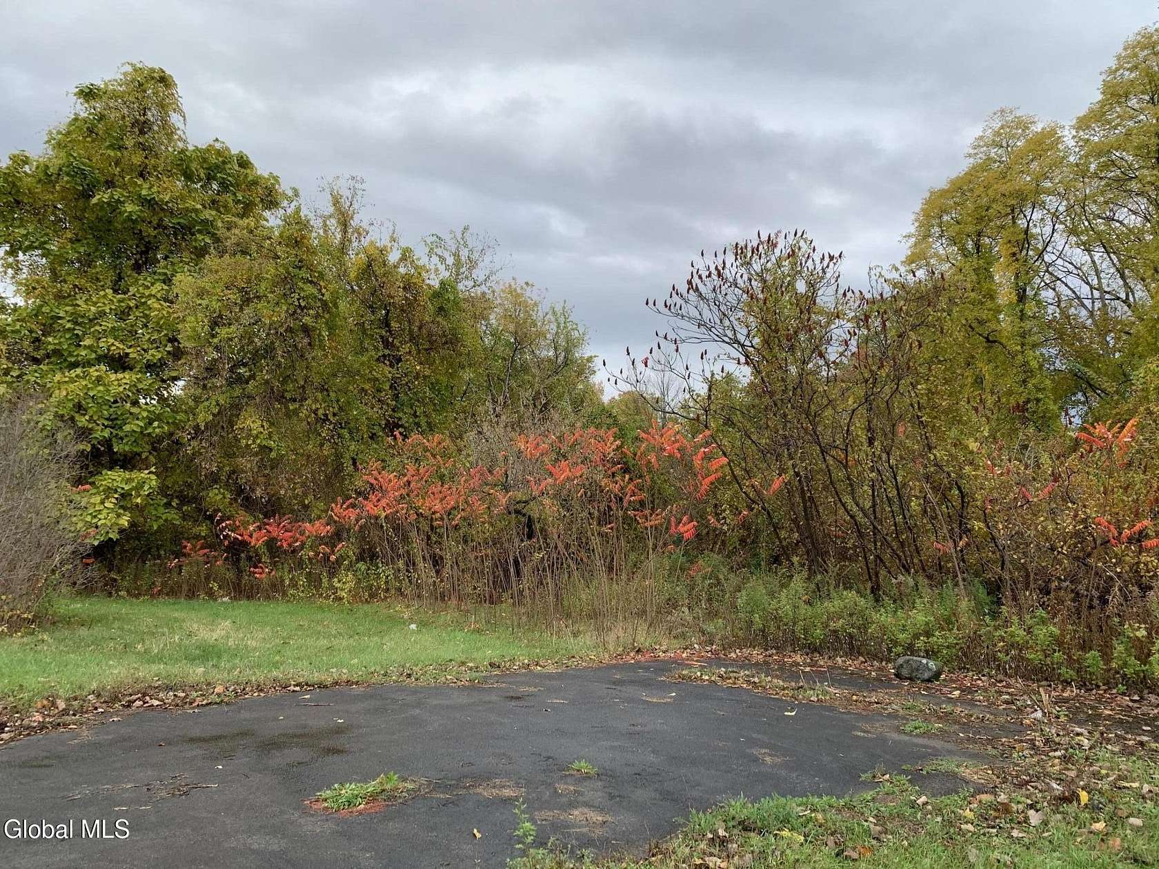 2 Acres of Mixed-Use Land for Sale in Halfmoon, New York