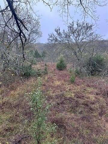 20 Acres of Recreational Land for Sale in Okmulgee, Oklahoma