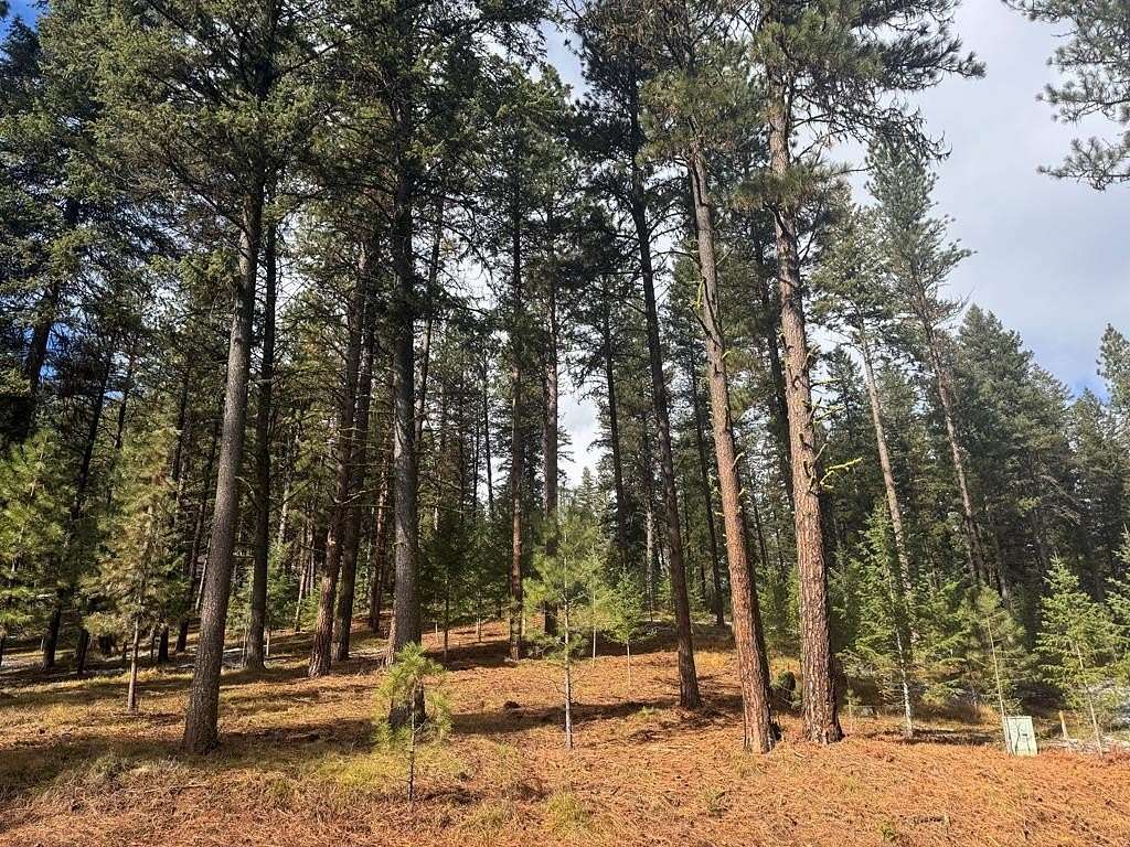 0.8 Acres of Residential Land for Sale in New Meadows, Idaho