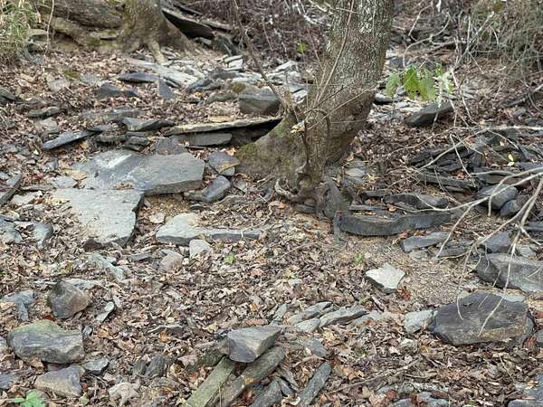 10 Acres of Recreational Land for Sale in Rose Bud, Arkansas