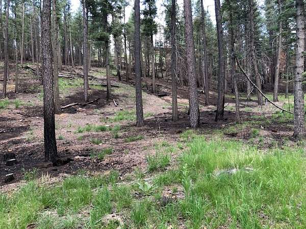 1 Acre of Residential Land for Sale in Rociada, New Mexico