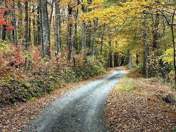 73 Acres of Recreational Land for Sale in Herndon, West Virginia