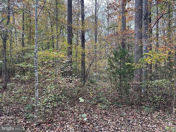 9.3 Acres of Agricultural Land for Sale in Partlow, Virginia