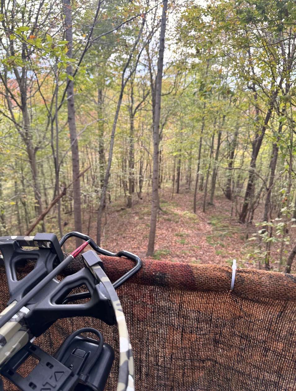 35.3 Acres of Recreational Land & Farm for Sale in Waynesboro, Tennessee