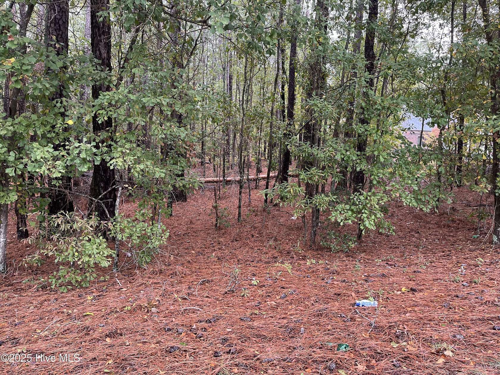 0.51 Acres of Land for Sale in Rockingham, North Carolina