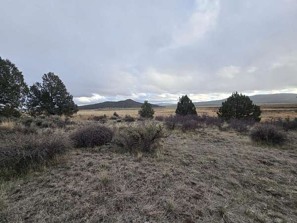 1.58 Acres of Land for Sale in Sprague River, Oregon