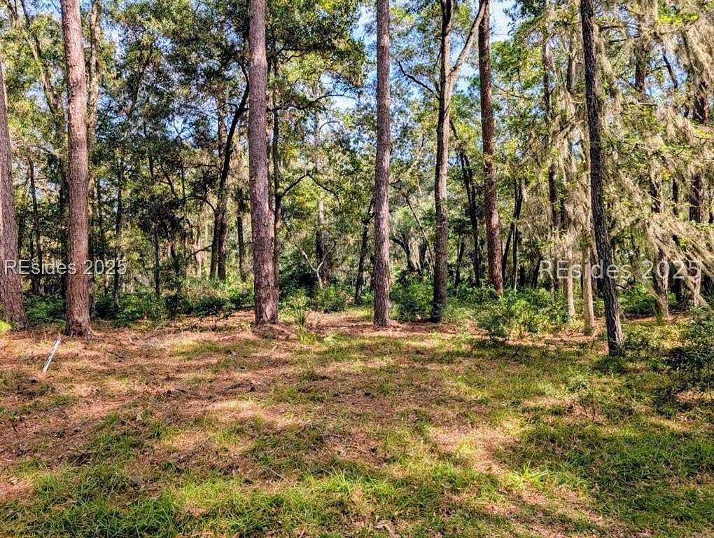 Residential Land for Sale in Daufuskie Island, South Carolina