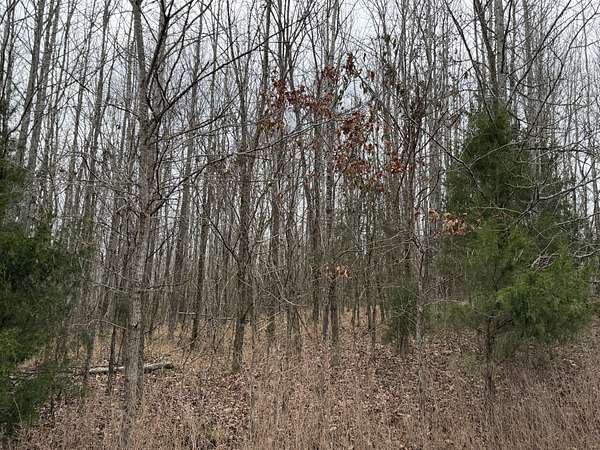 1.13 Acres of Residential Land for Sale in Cadiz, Kentucky