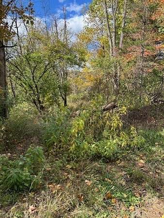 1.79 Acres of Residential Land for Sale in Bath Township, Ohio