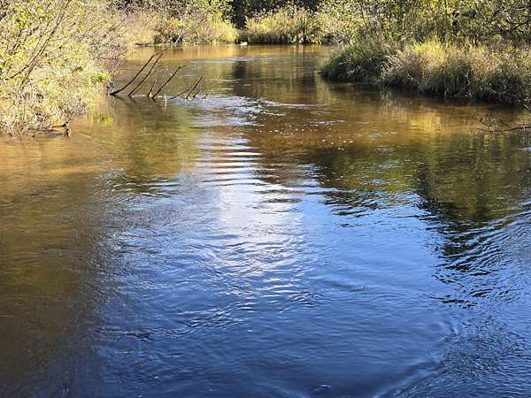 9.62 Acres of Land for Sale in Irons, Michigan