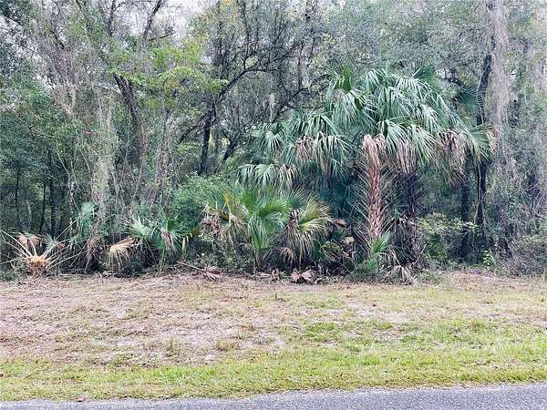 4 Acres of Residential Land for Sale in Fort McCoy, Florida