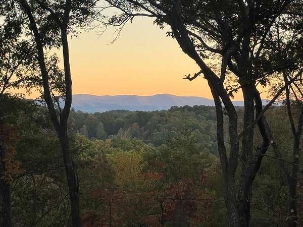 1.57 Acres of Residential Land with Home for Sale in Mineral Bluff, Georgia