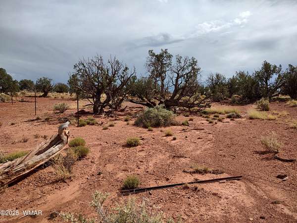 55 Acres of Recreational Land for Sale in Heber, Arizona