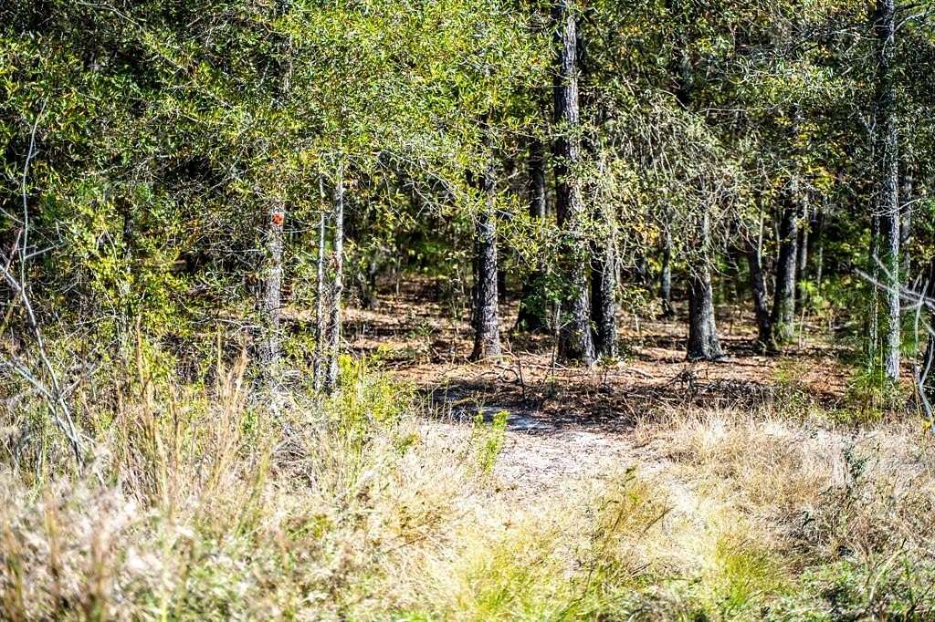 42 Acres of Recreational Land for Sale in Clarksville, Texas