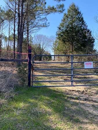 47.9 Acres of Land for Sale in Hughes Springs, Texas