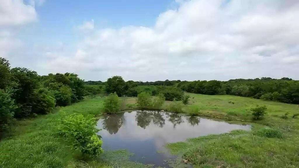 38.5 Acres of Agricultural & Residential Land for Sale in Kemp, Texas