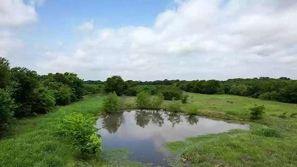38.5 Acres of Land for Sale in Kemp, Texas