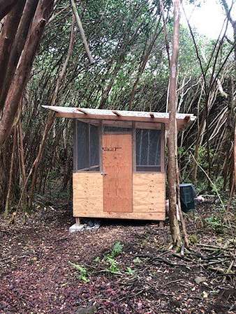 0.18 Acres of Residential Land for Sale in Pahoa, Hawaii