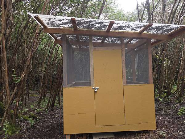 0.18 Acres of Residential Land for Sale in Pahoa, Hawaii