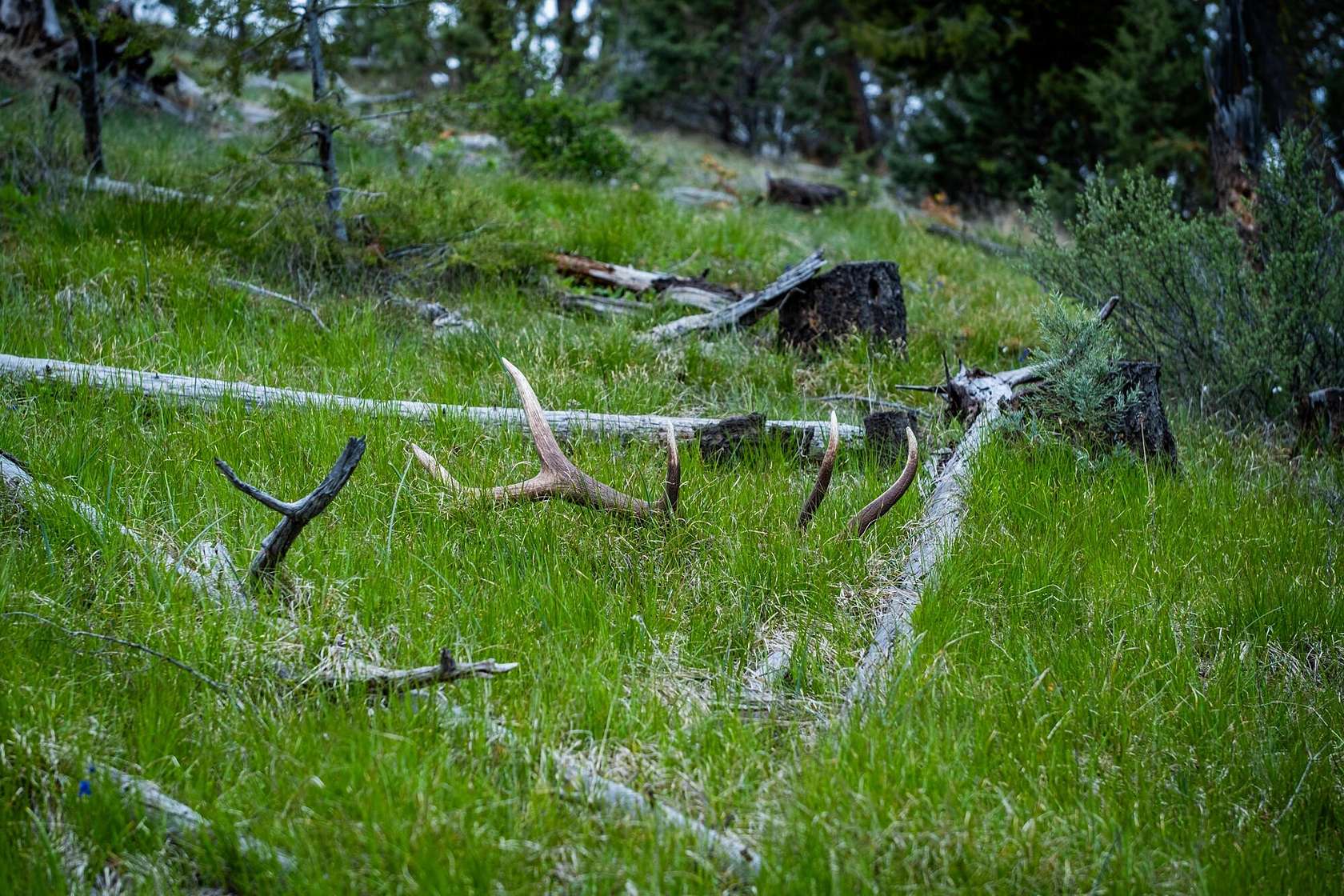 1,120 Acres of Land for Sale in Mount Vernon, Oregon