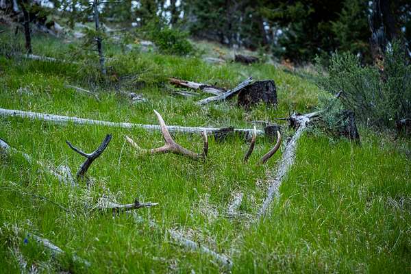 1,120 Acres of Land for Sale in Mount Vernon, Oregon